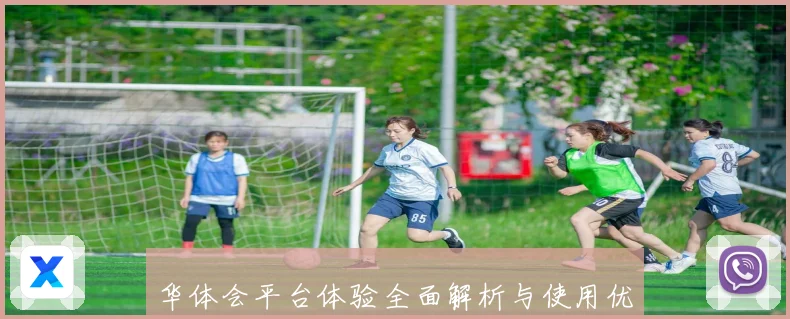 华体会平台体验全面解析与使用优劣详细评测